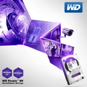 WD Purple NV Art Logo.jpg
