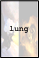 lung